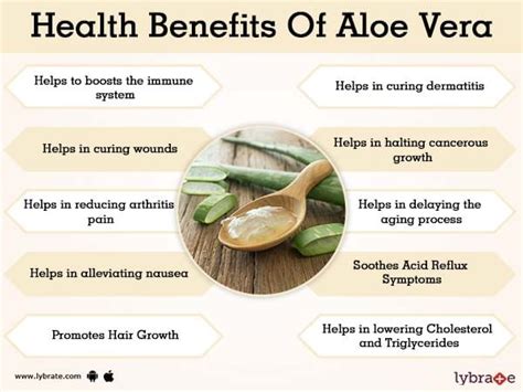 Aloe Vera for Face: 10 Benefits, Side Effects, and More .